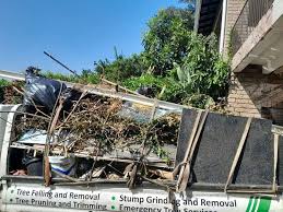 Best Recycling Services for Junk  in Smyrna, GA